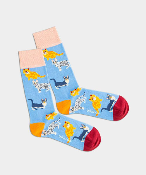 DillySocks Water Cats