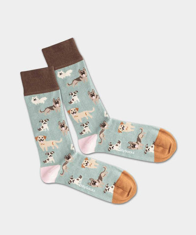 DillySocks Doggy Dog